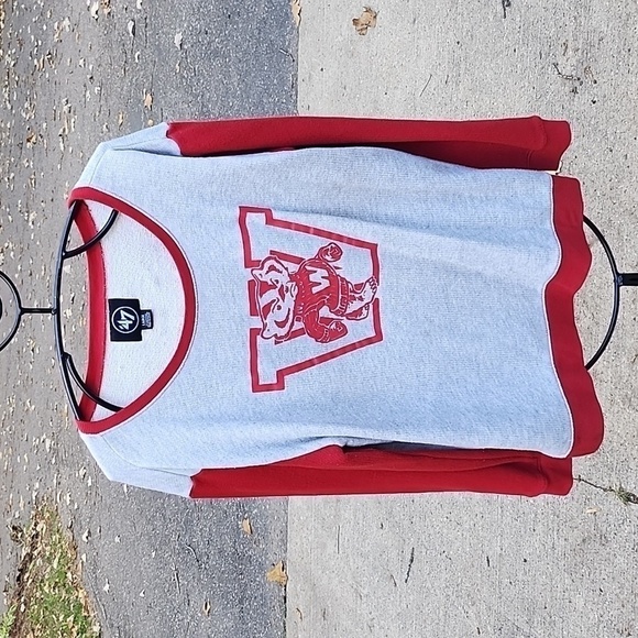 47 Brand Collegiate Graphic Wisconsin Badgers Long Slv Sz L Light Sweatshirt - Picture 1 of 8